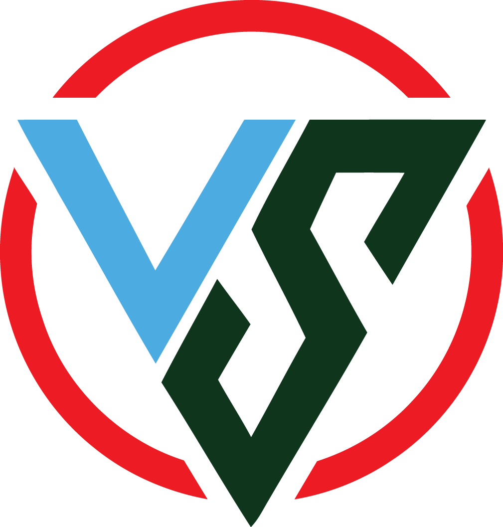 Virtual Solution 4 You